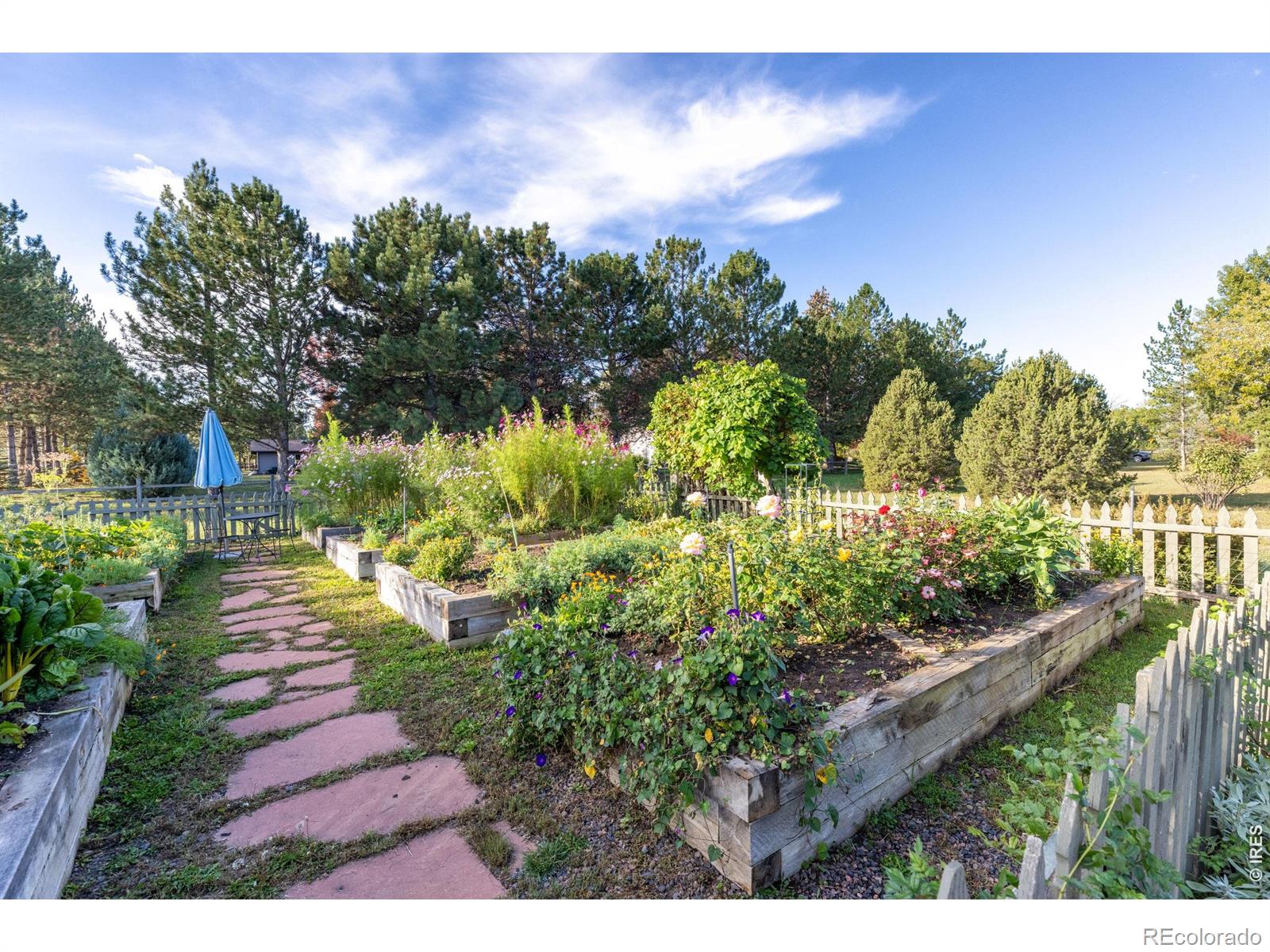 8726 Crimson Clover Lane Longmont CO 80503
