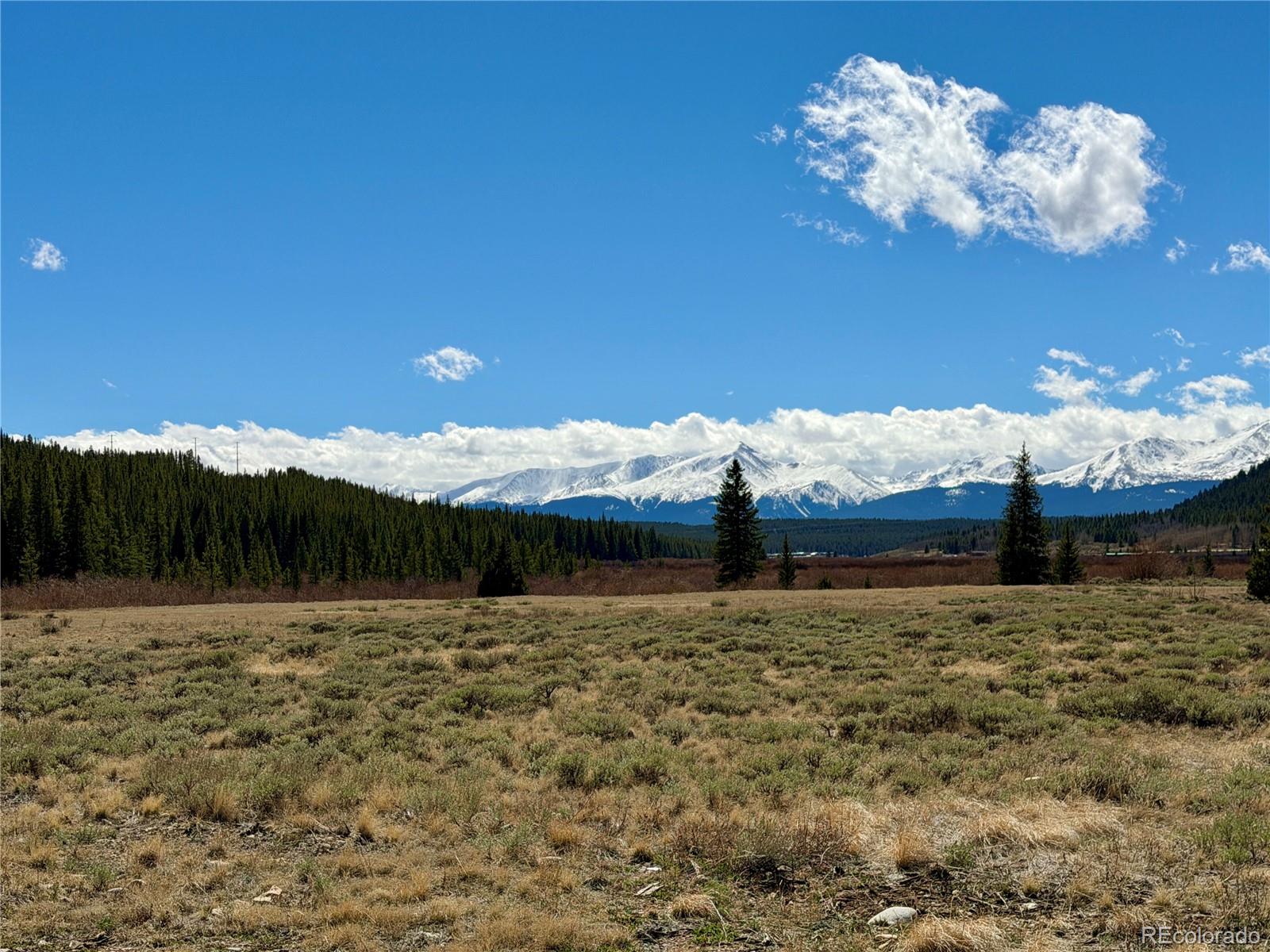 2926 Highway 91 Leadville CO 80461