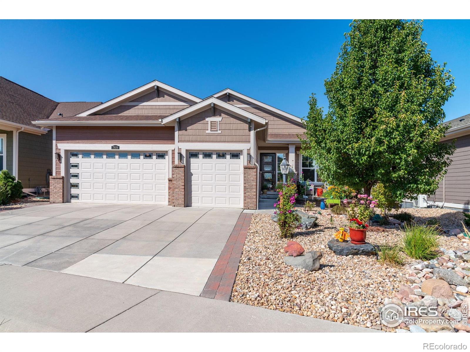 7819 Spruce Court Thornton CO 80602