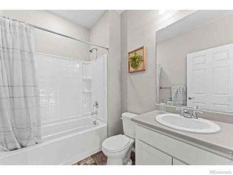860 Camberly Drive Windsor CO 80550