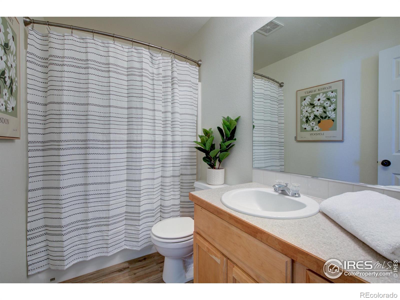 2576 Peppercorn Drive Mead CO 80542