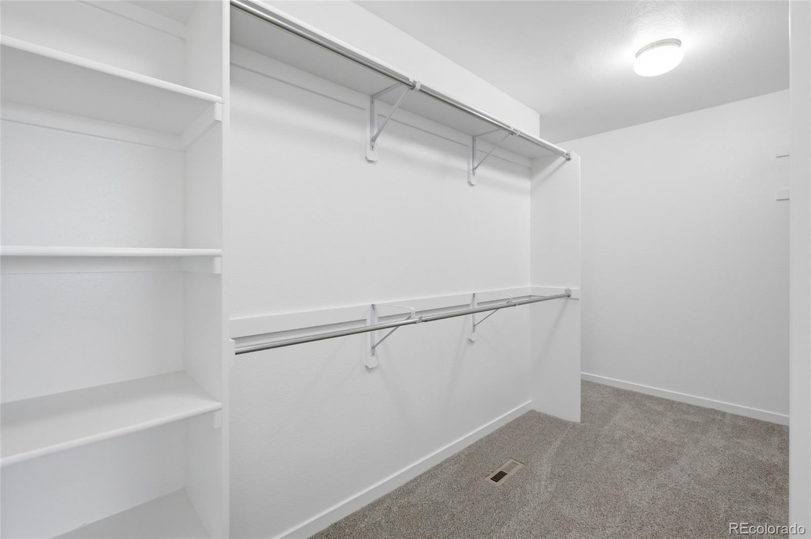 7263 Horsechestnut Street Wellington CO 80549