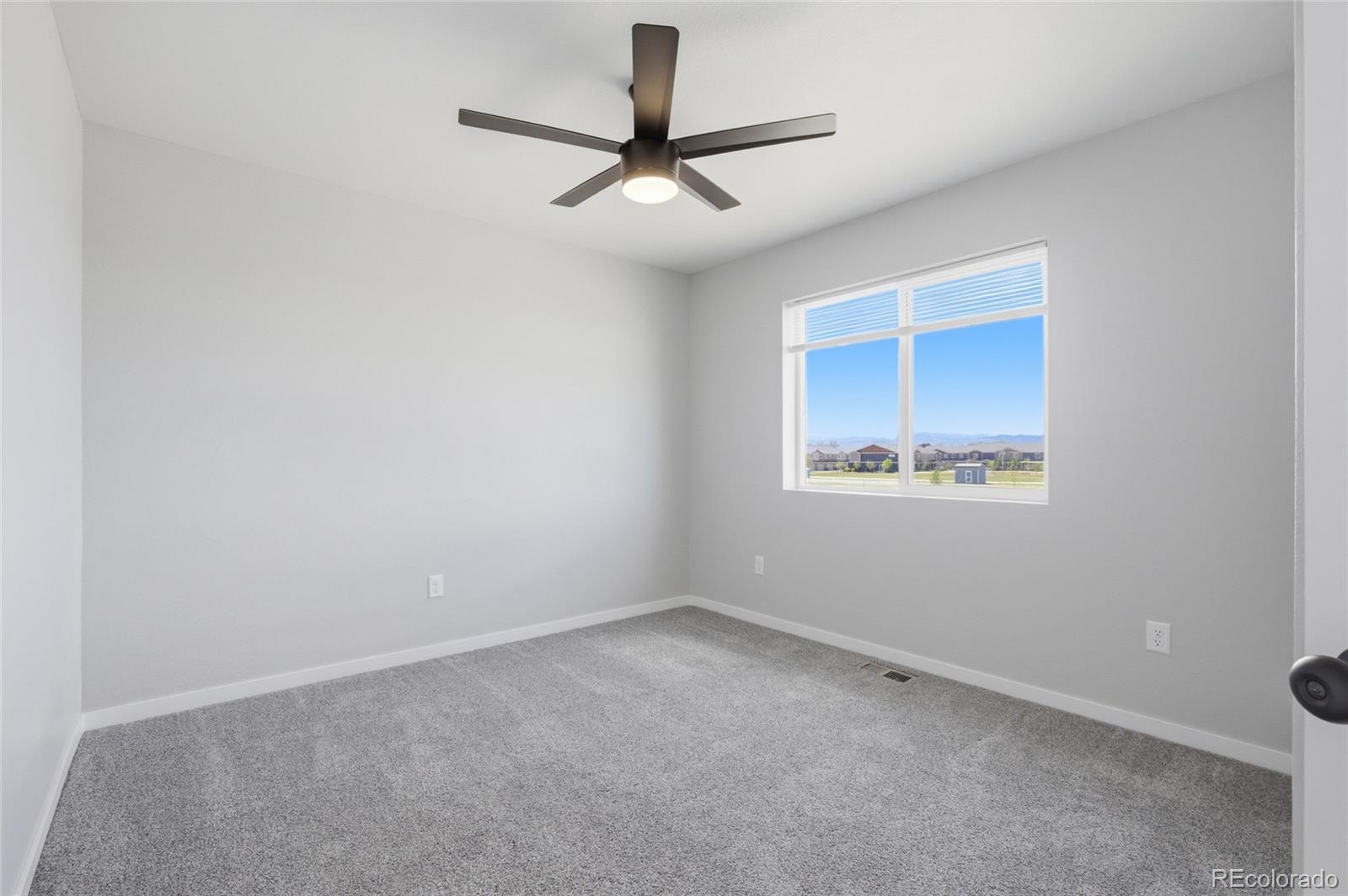 7263 Horsechestnut Street Wellington CO 80549