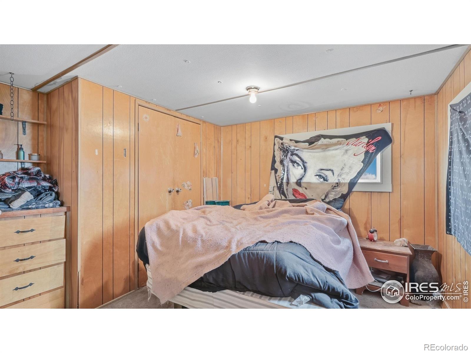 17661 County Road 29.6 Brush CO 80723