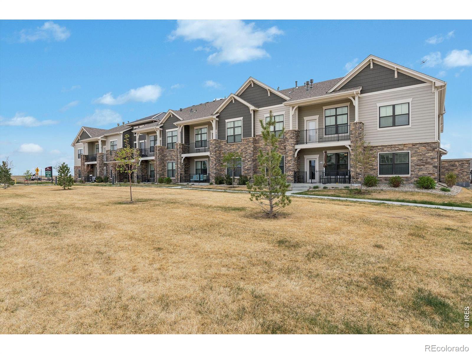 3425 Triano Creek Drive Loveland CO 80538