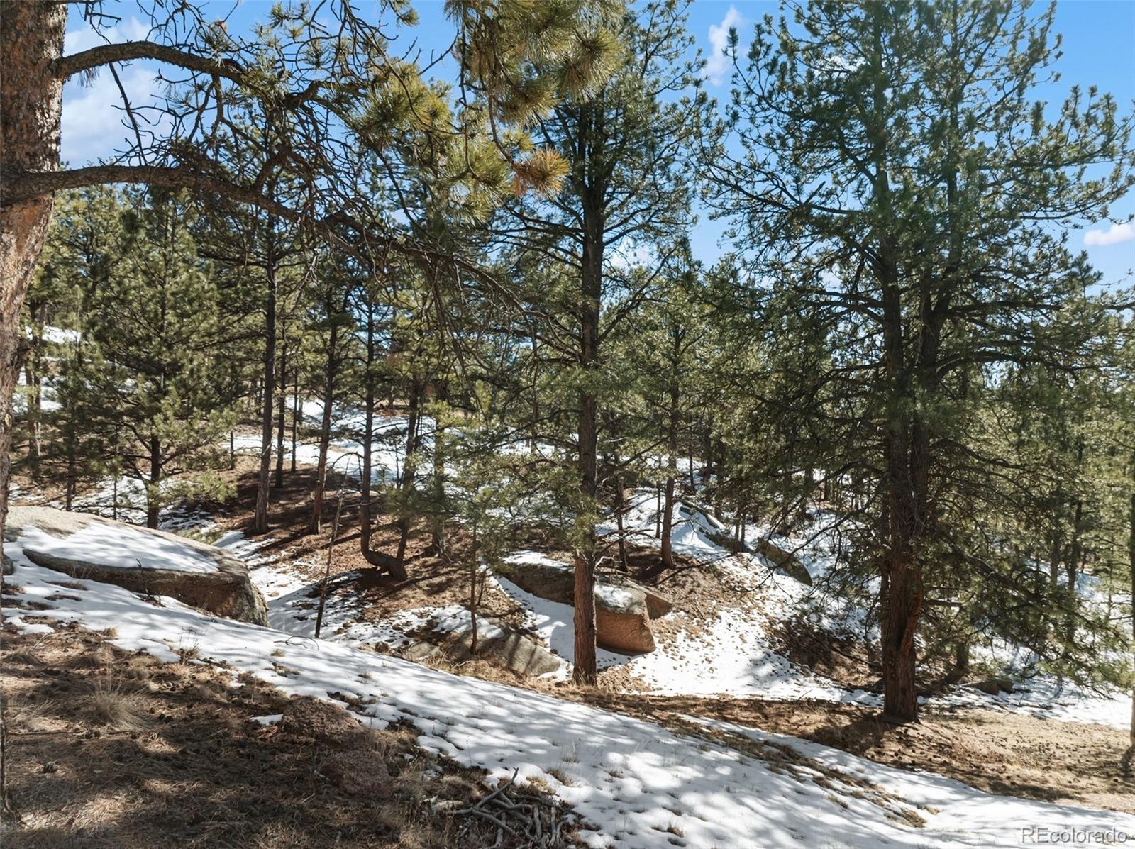 10448 Cr1 Florissant CO 80816