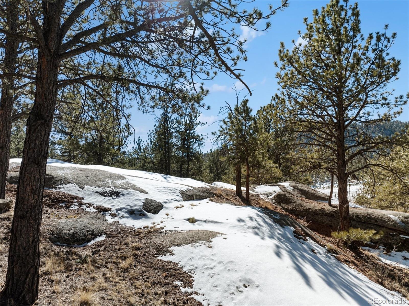 10448 Cr1 Florissant CO 80816