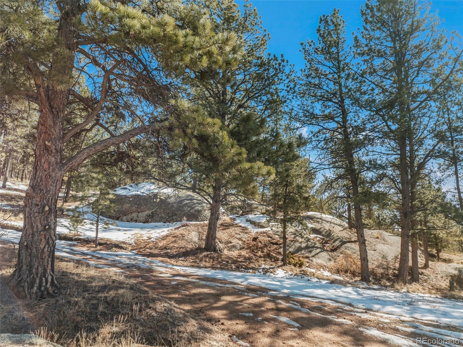 10448 Cr1 Florissant CO 80816