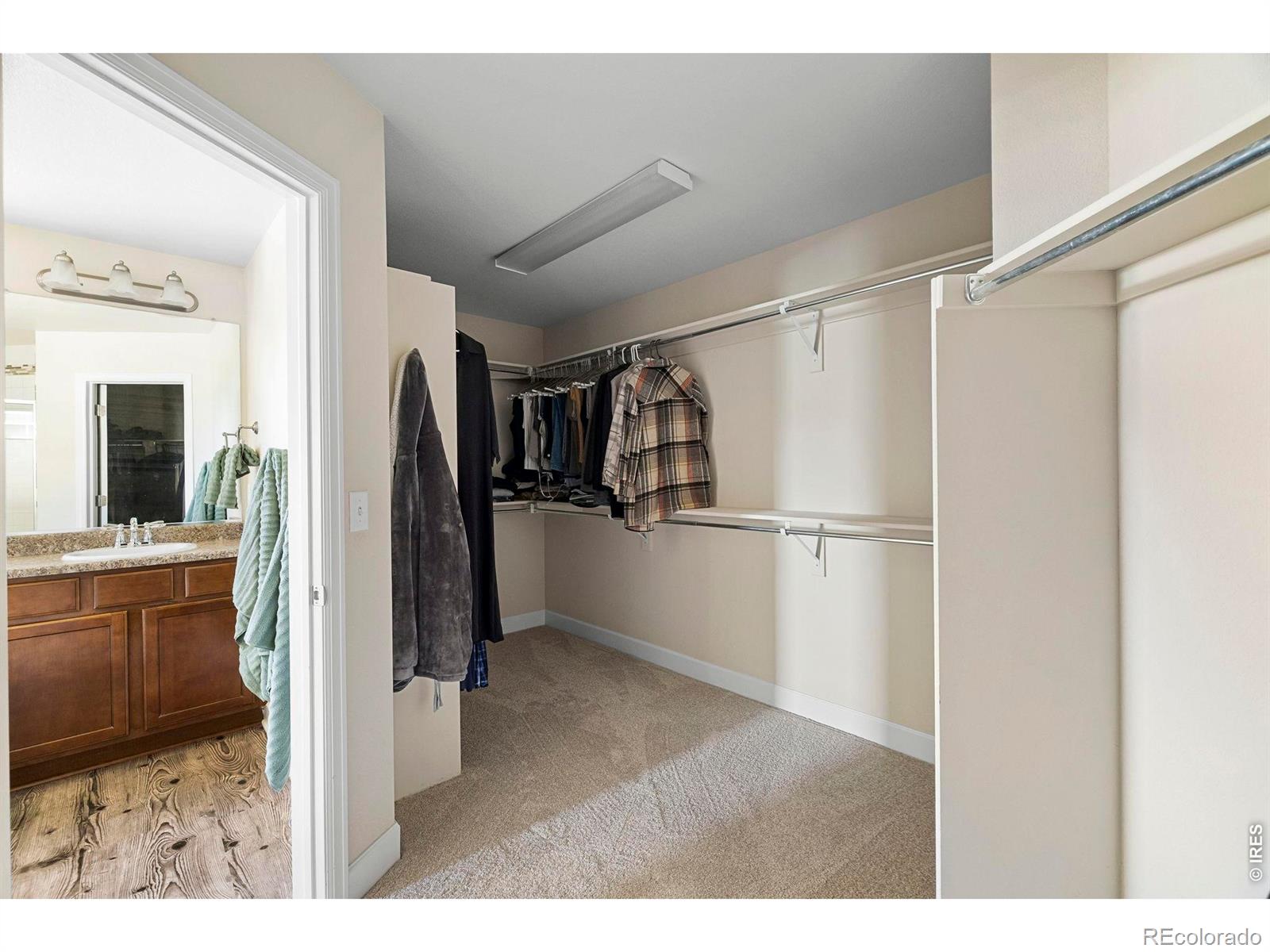5651 Kadenwood Drive Fort Collins CO 80528