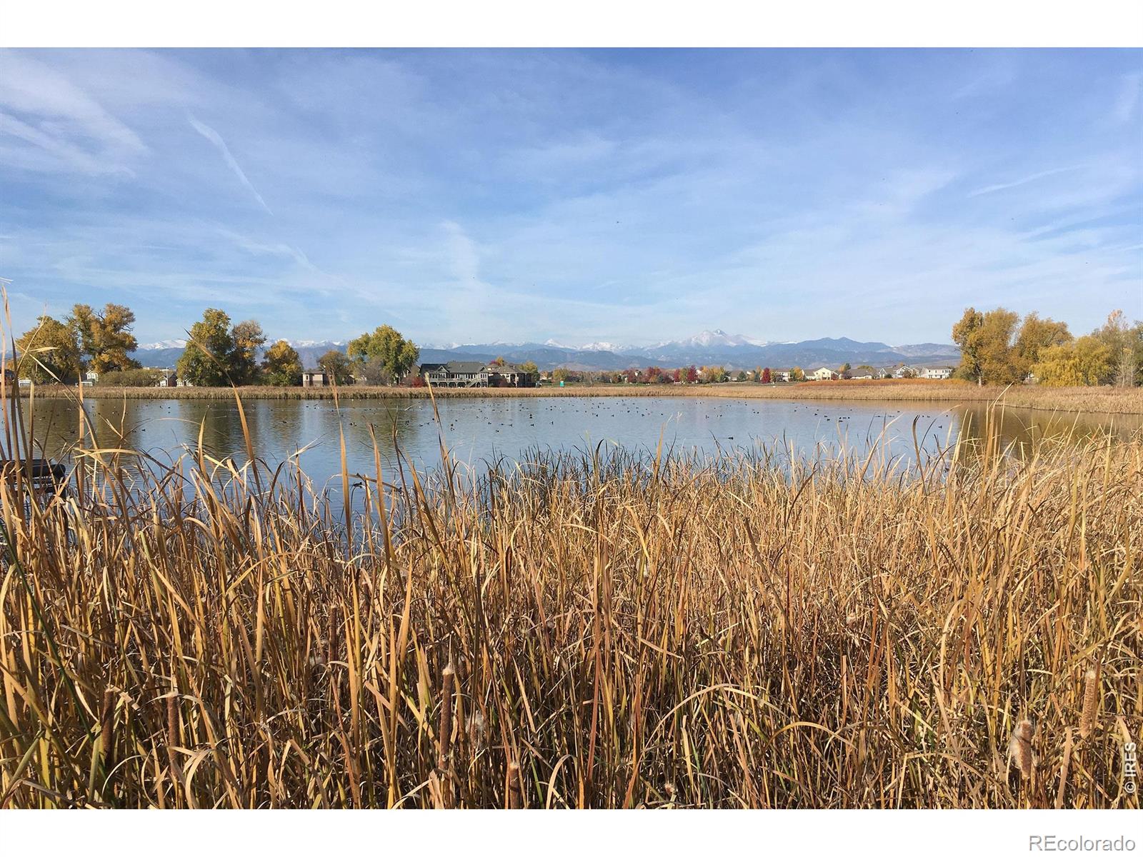 1934 Rannoch Drive Longmont CO 80504