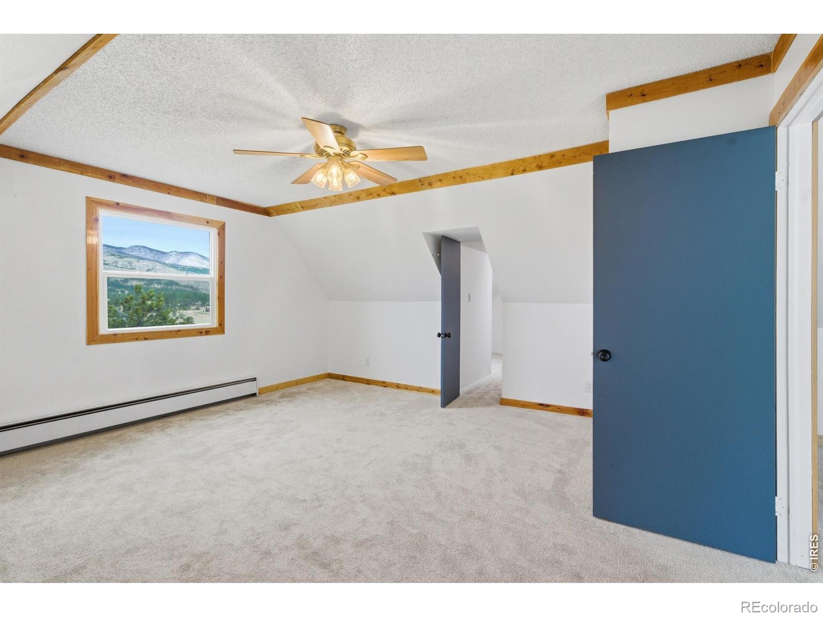 246 Picacho Place Drake CO 80515