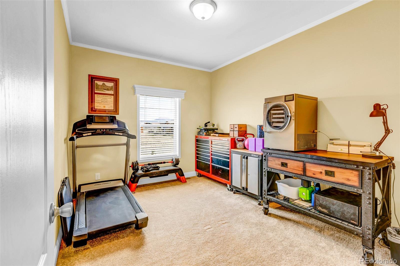 108A Sun Rock Drive Fairplay CO 80440