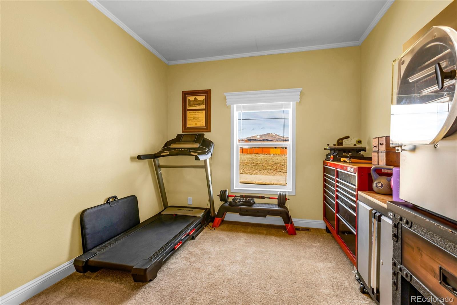 108A Sun Rock Drive Fairplay CO 80440