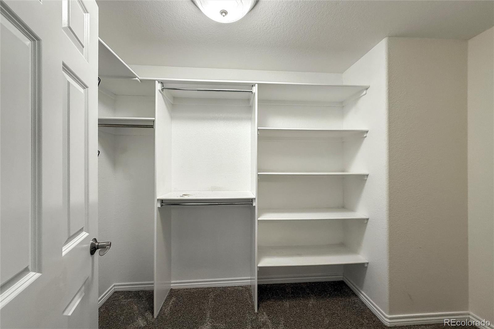 1432 Turin Drive Longmont CO 80503
