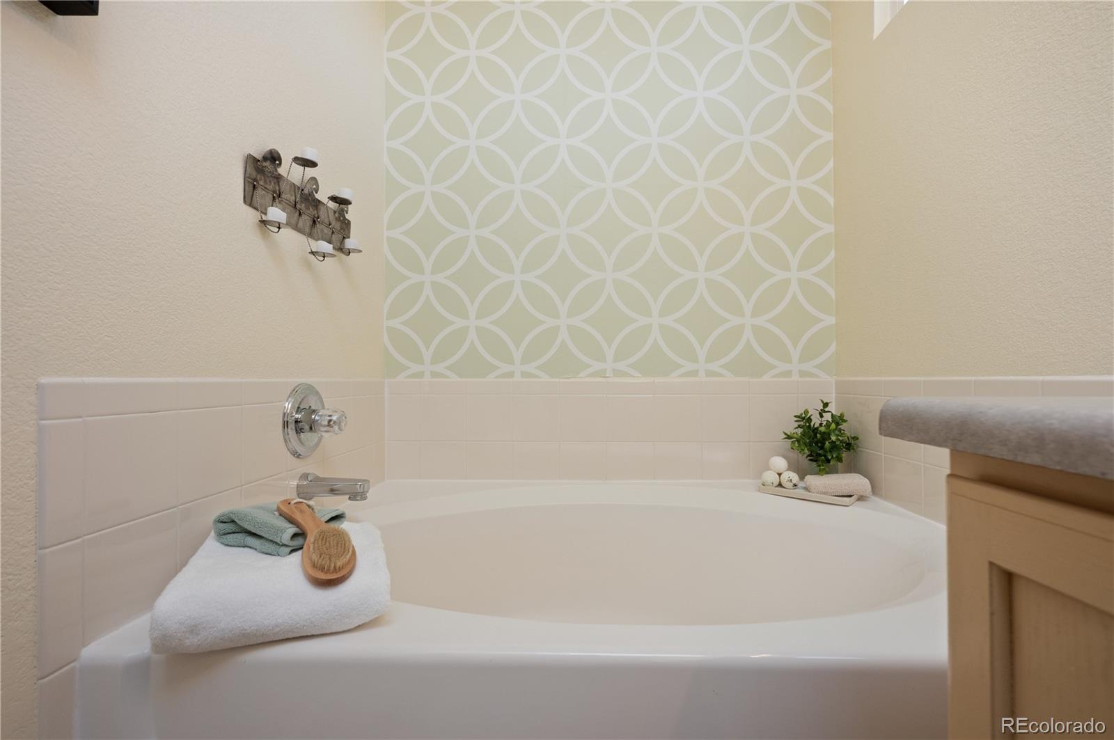 10204 Aldenbridge Court Highlands Ranch CO 80126