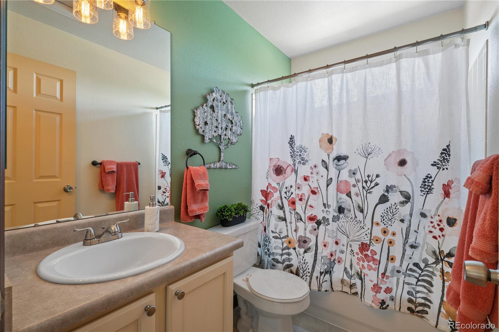 10204 Aldenbridge Court Highlands Ranch CO 80126