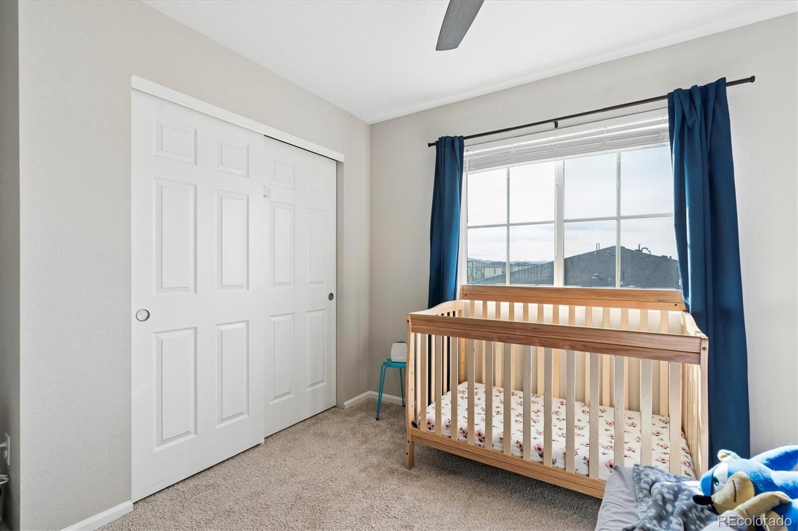 4345 Rapport Drive Castle Rock CO 80104