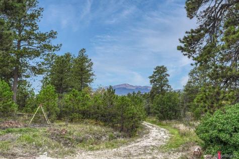 10625 Milam Road Colorado Springs CO 80908