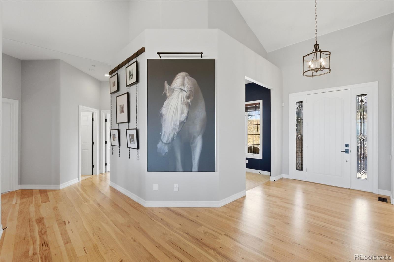 2455 Marlin Way Castle Rock CO 80109
