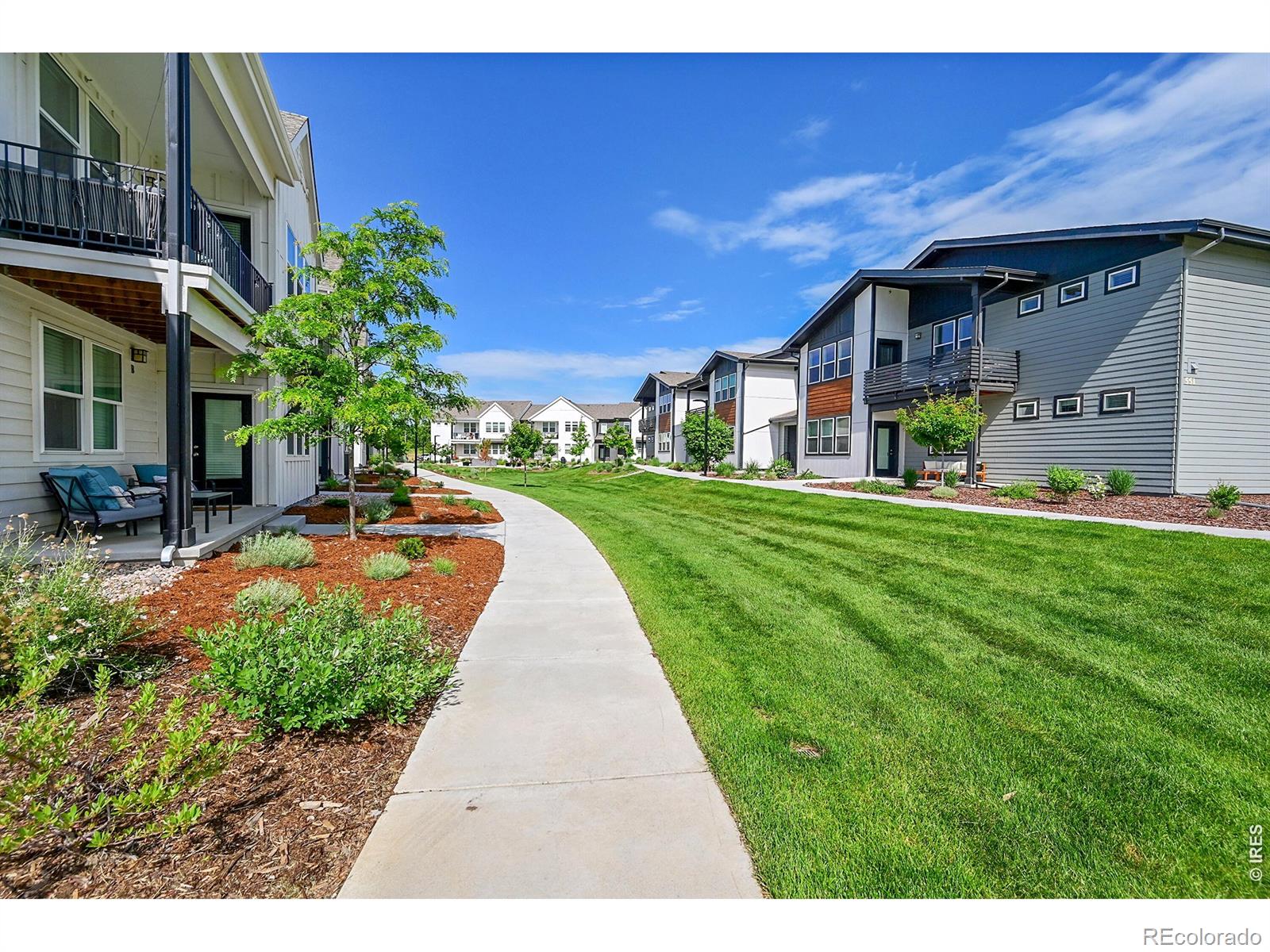551 Vicot Way Fort Collins CO 80524