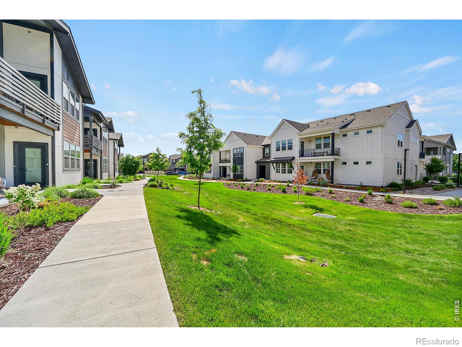 551 Vicot Way Fort Collins CO 80524