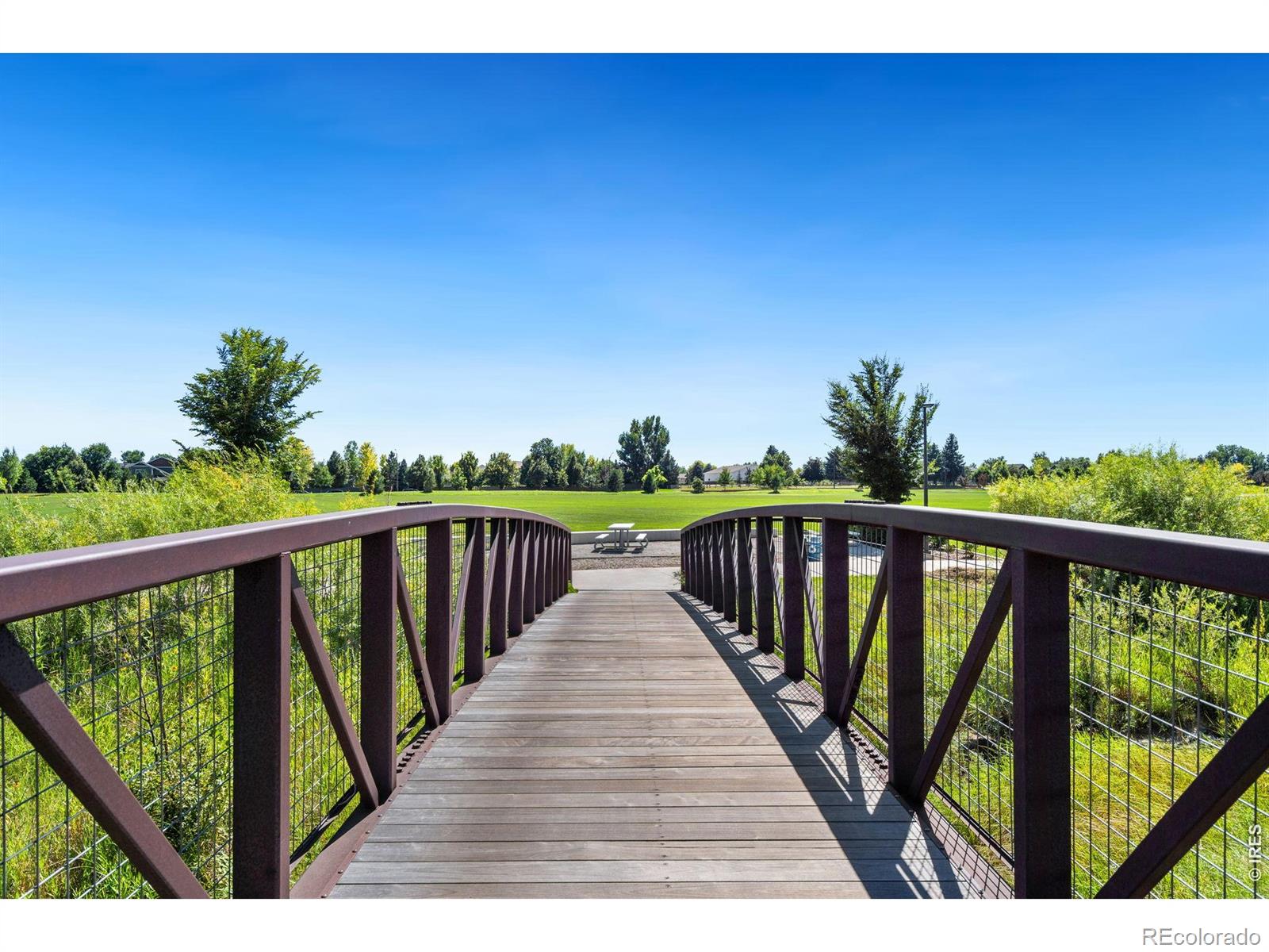2313 Lodgepole Creek Drive Fort Collins CO 80528