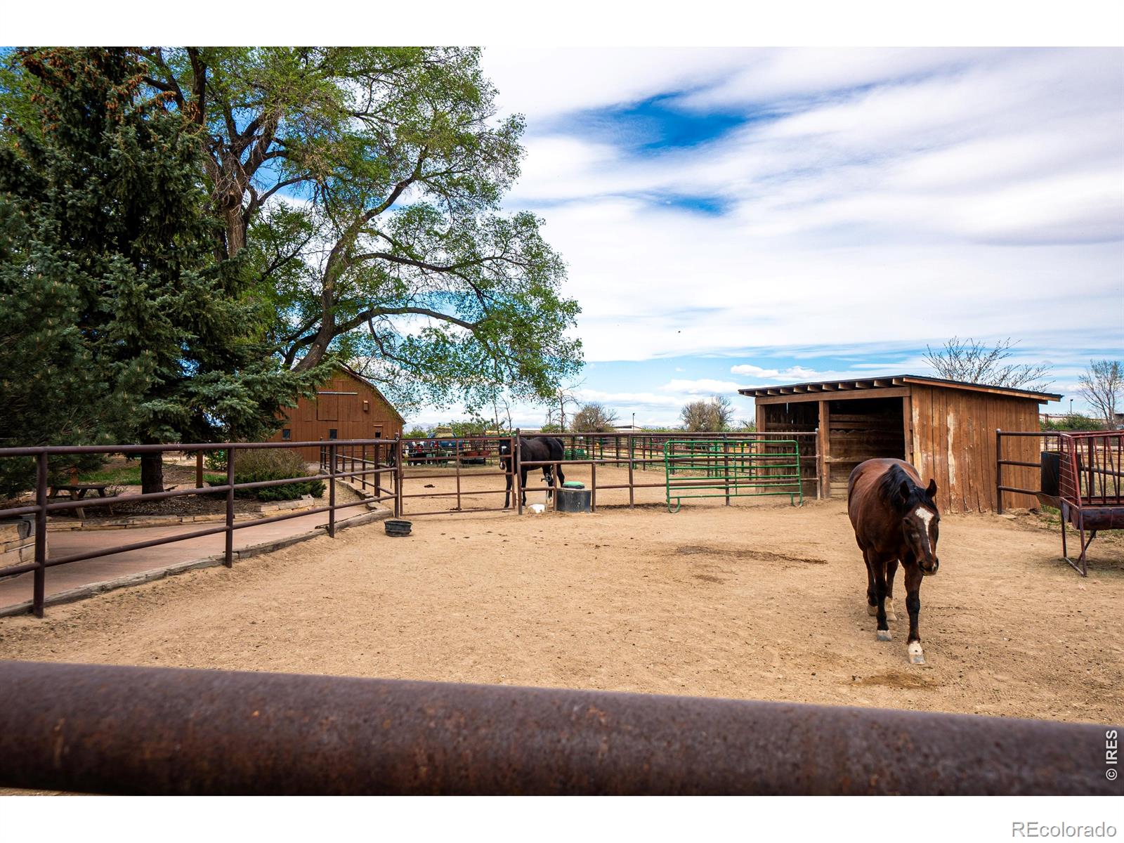 11529 County Road 78 Eaton CO 80615