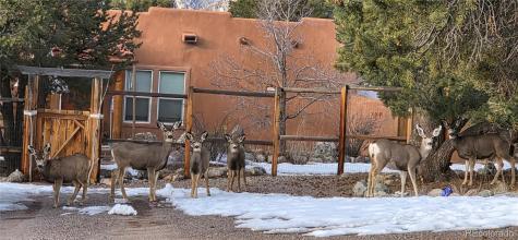 109 Pinewood Overlook Crestone CO 81131