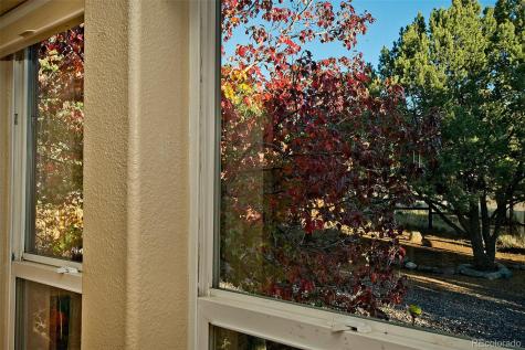 109 Pinewood Overlook Crestone CO 81131