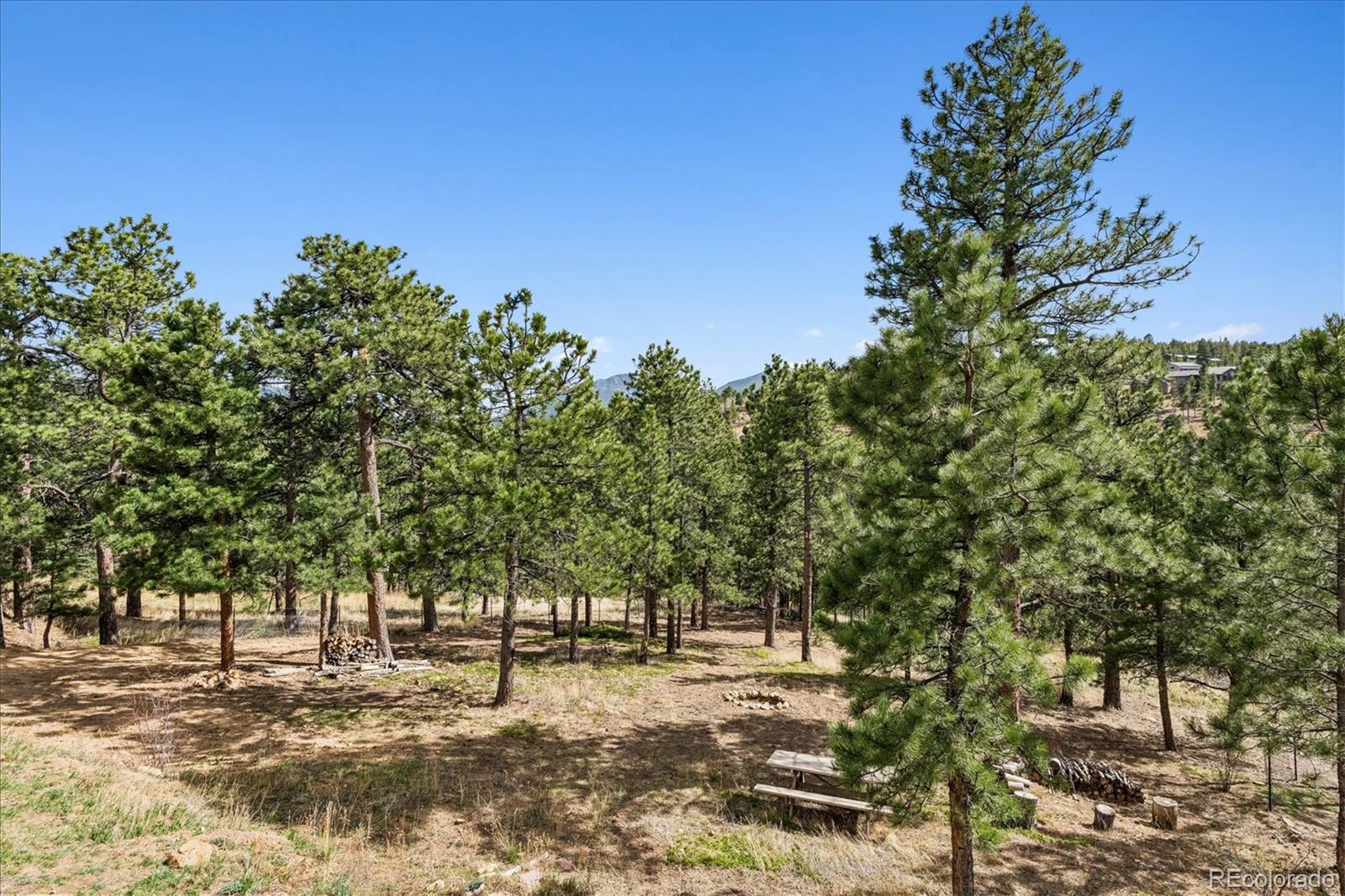 166 Hummingbird Lane Golden CO 80403
