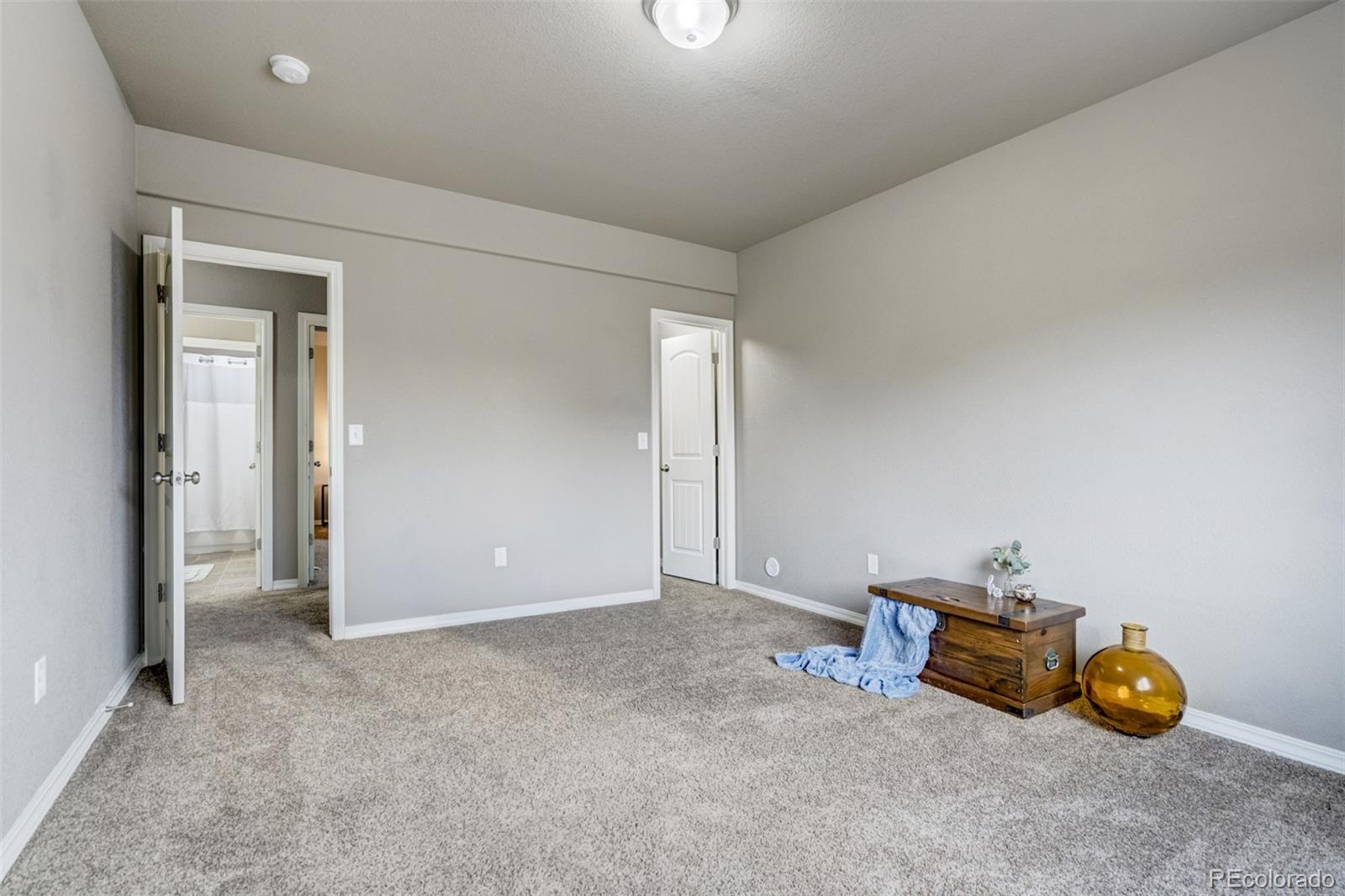 10664 Delaney Lane Fountain CO 80817
