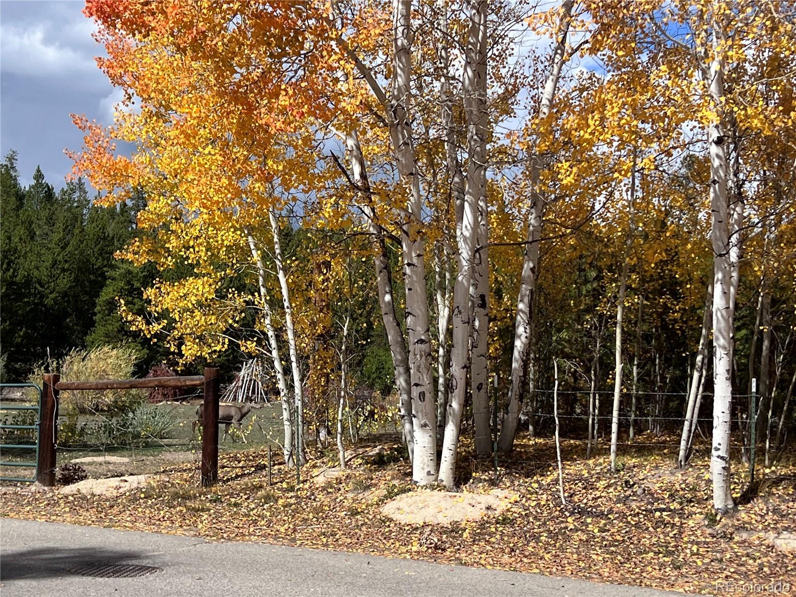 604 Marina Drive Grand Lake CO 80447