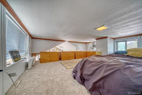 10795 County Road 197a Nathrop CO 81236