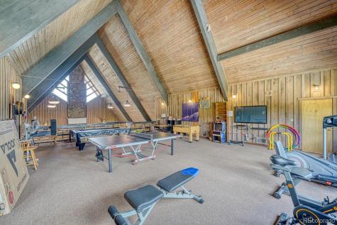 10795 County Road 197a Nathrop CO 81236