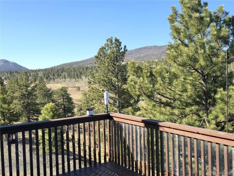3580 Singletree Road Hartsel CO 80449