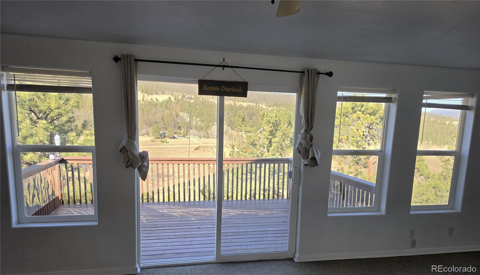 3580 Singletree Road Hartsel CO 80449