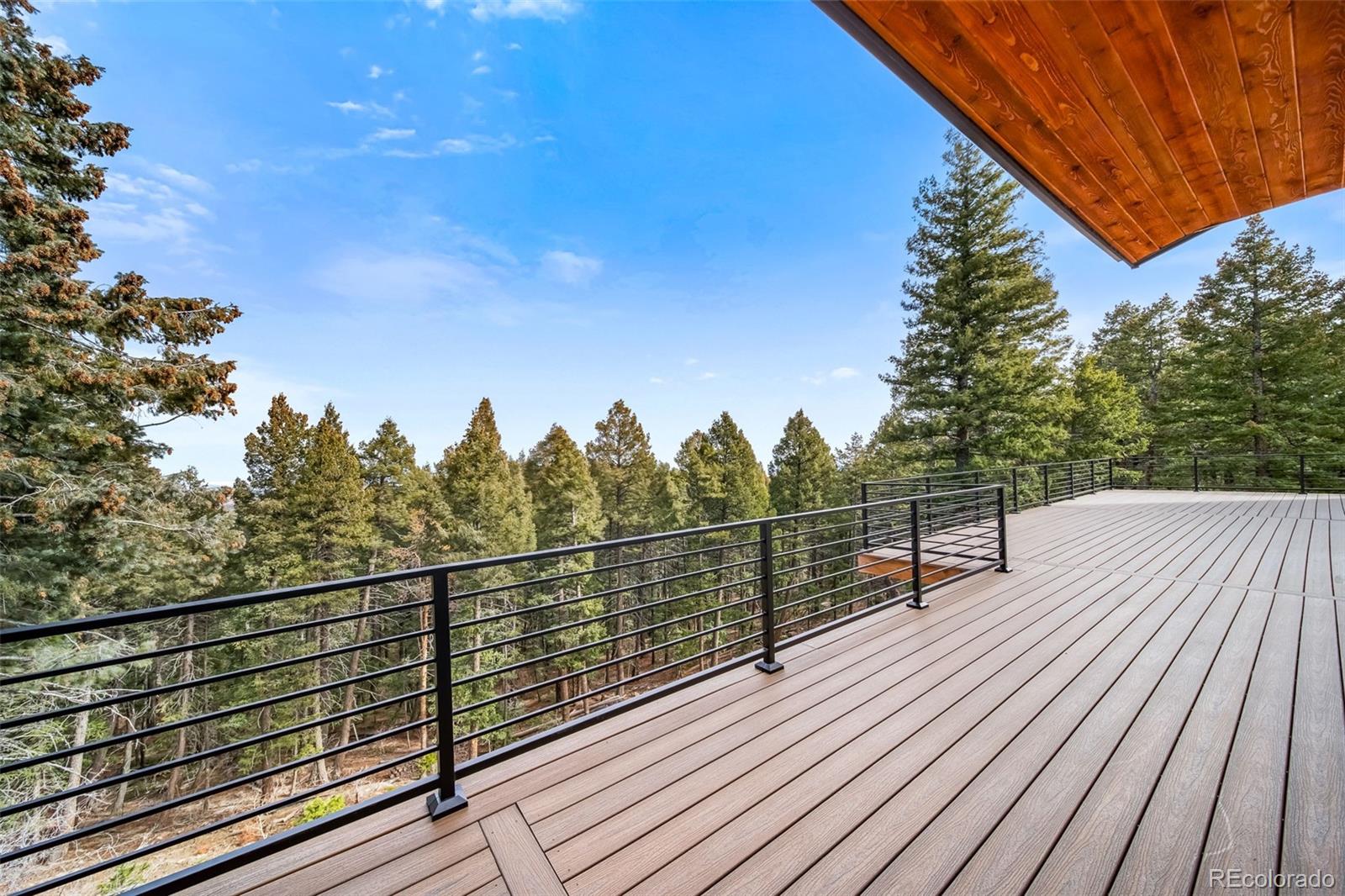 25553 Mountain Moss Court Evergreen CO 80439