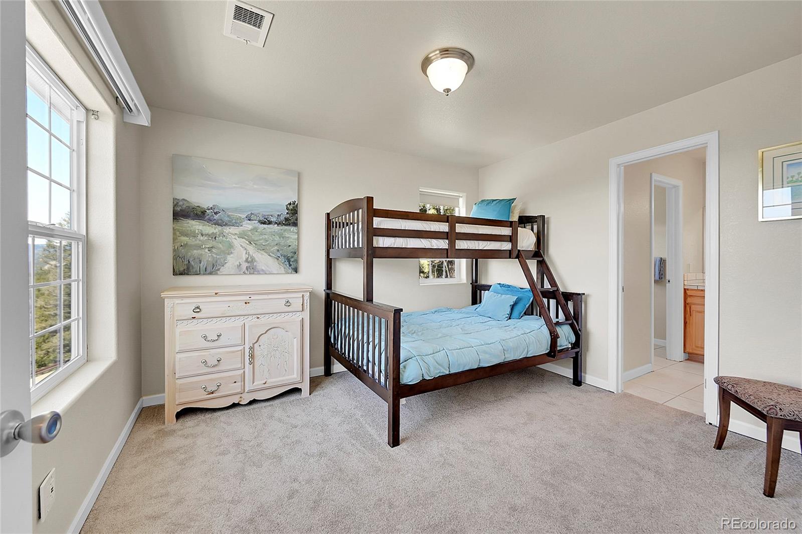 11770 Leavenworth Drive Conifer CO 80433