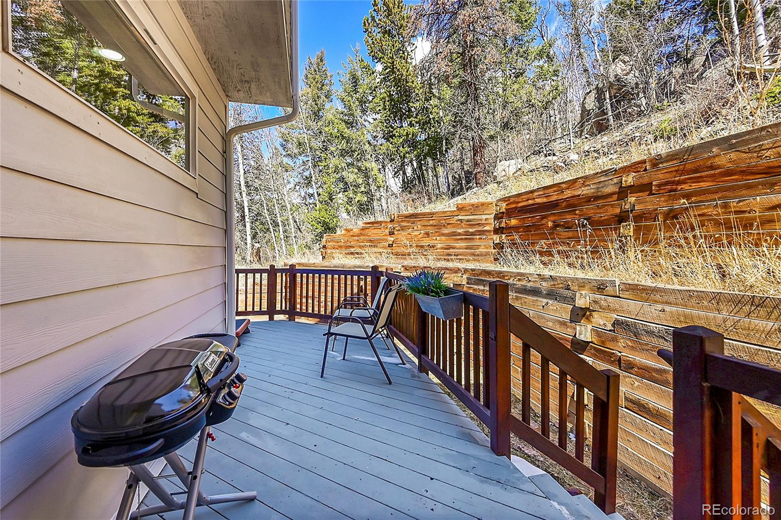 11770 Leavenworth Drive Conifer CO 80433