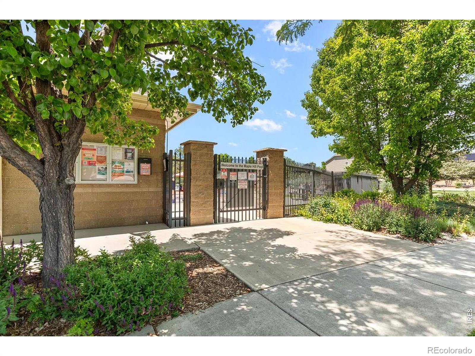 2515 Thoreau Drive Fort Collins CO 80524