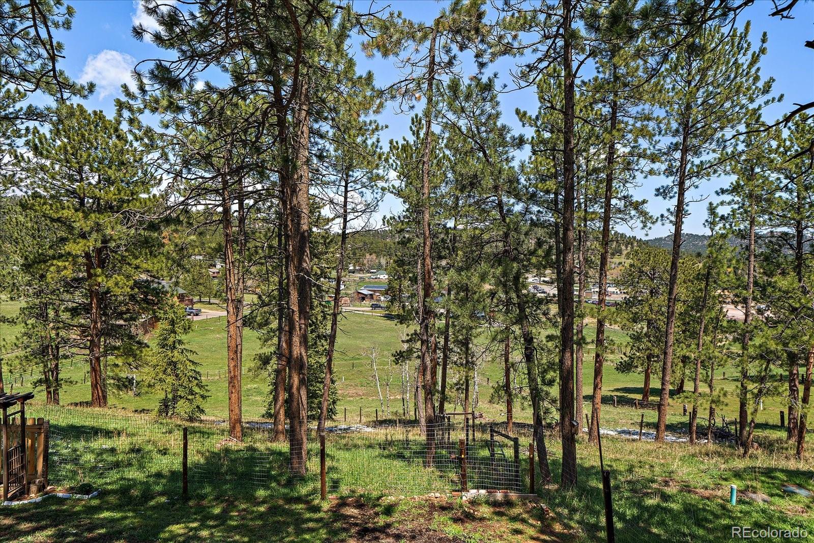 29827 Gigi Road Evergreen CO 80439