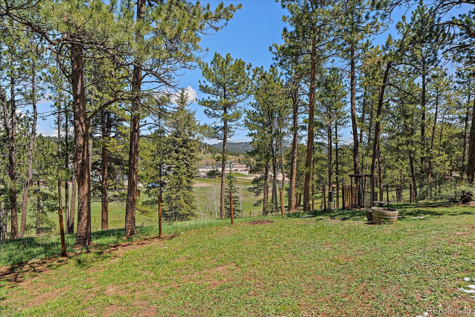 29827 Gigi Road Evergreen CO 80439