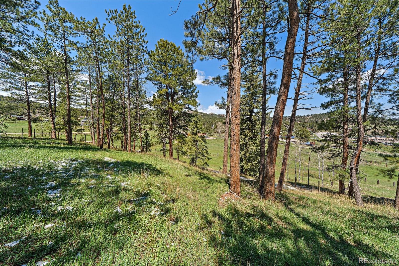 29827 Gigi Road Evergreen CO 80439