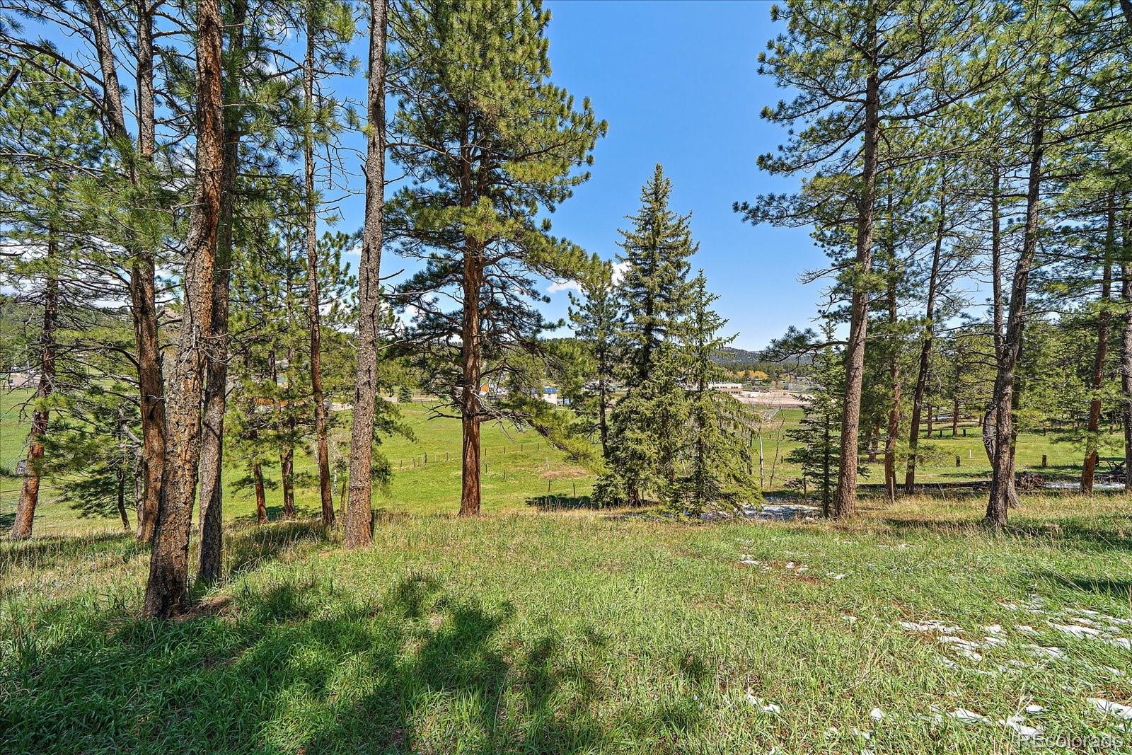 29827 Gigi Road Evergreen CO 80439