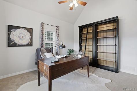 20305 True Vista Circle Monument CO 80132