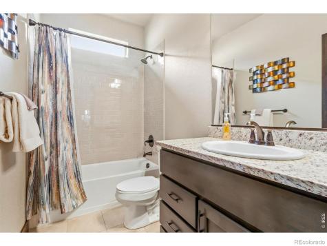 551 Vermilion Peak Drive Windsor CO 80550