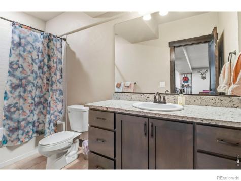 551 Vermilion Peak Drive Windsor CO 80550