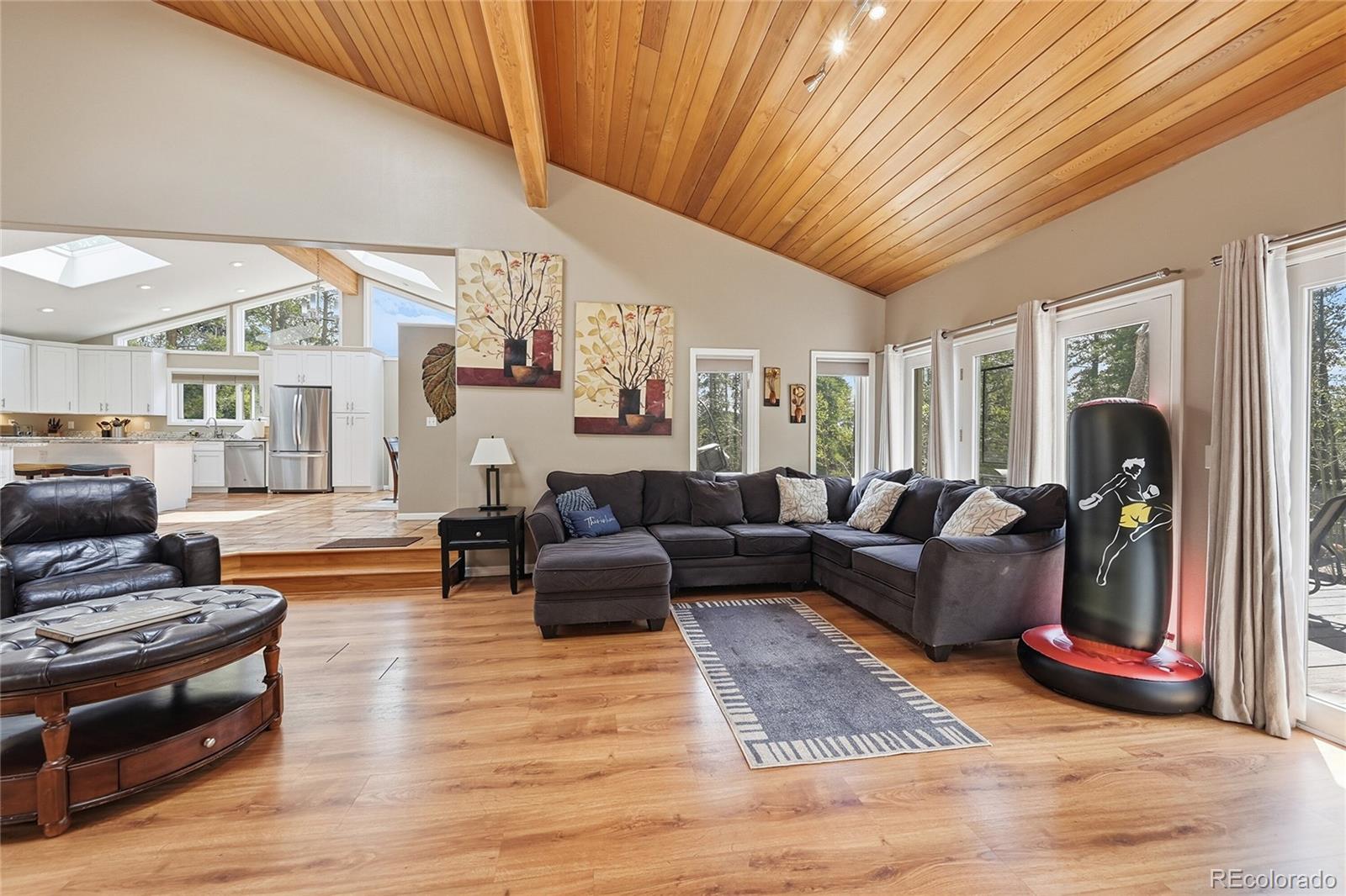 111 Foxtail Circle Black Hawk CO 80422