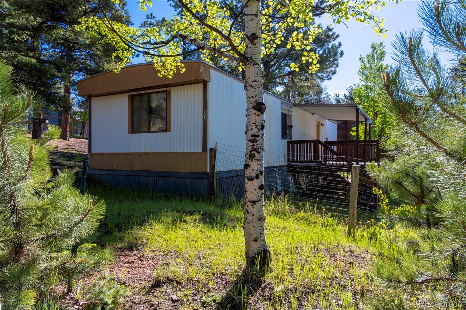 310 Blossom Road Woodland Park CO 80863