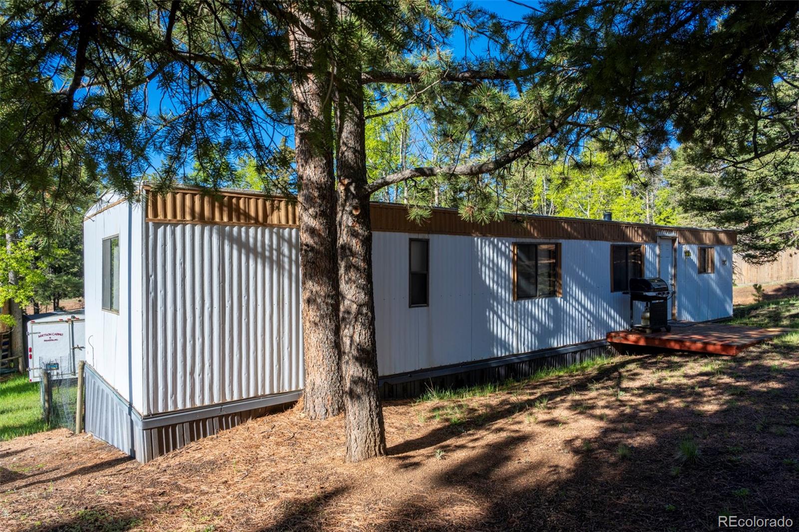310 Blossom Road Woodland Park CO 80863